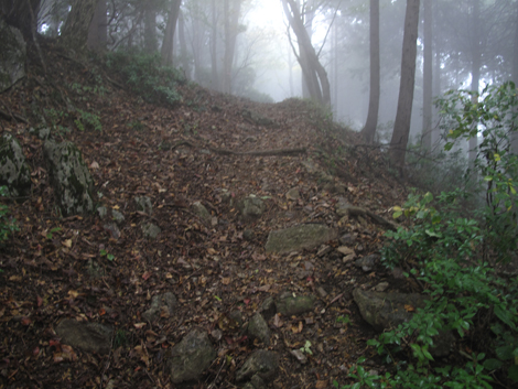 20151021hike (220)